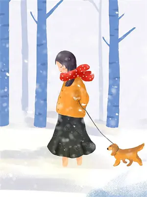 光明骑士长什么样子