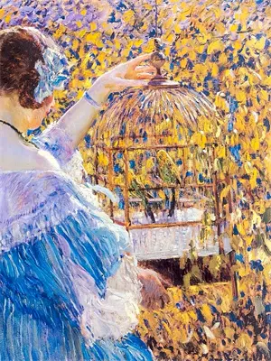 狂怒骑士安国建什么军衔