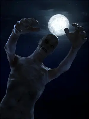 如风似云是什么意思